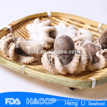 High quality frozen boiled octopus flowered